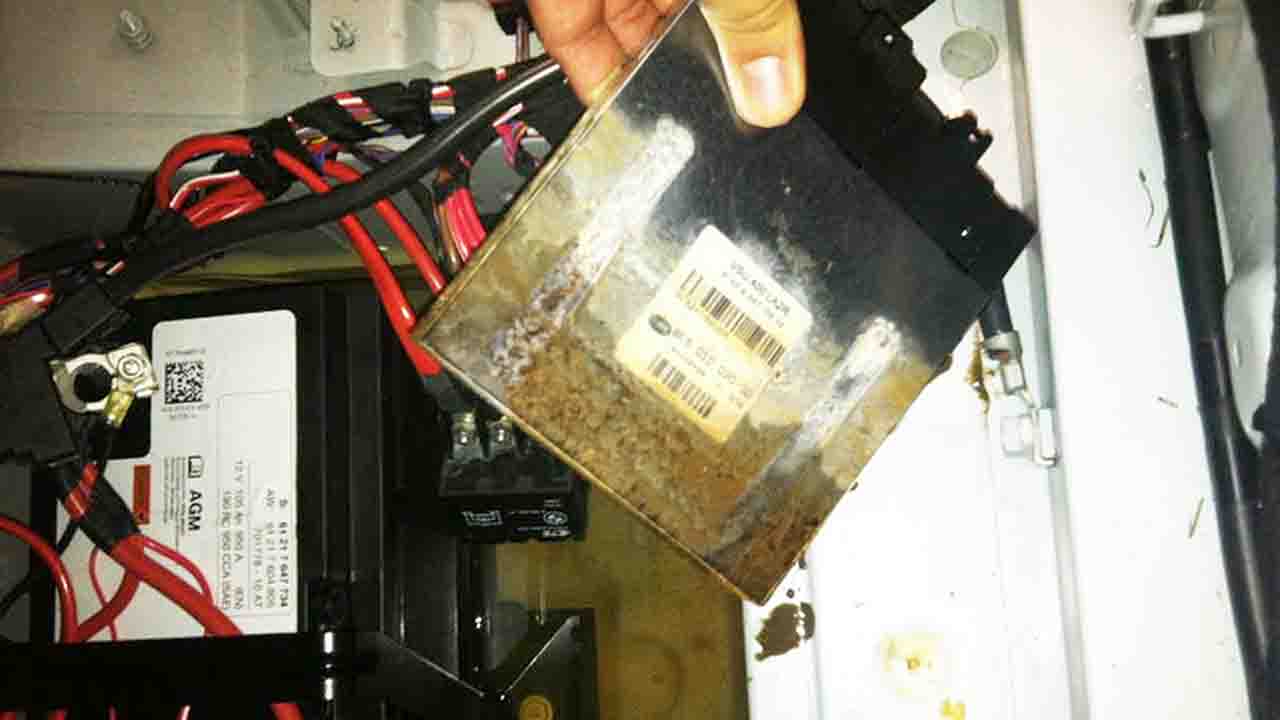 ecu ecm module in car water accumulate niche